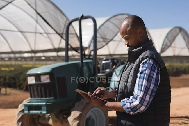 Вид сбоку на человека, использующего цифровой планшет на черничной ферме — стоковое фото