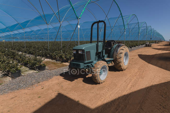 Tractor estacionado cerca de la granja de arándanos a la luz del sol - foto de stock