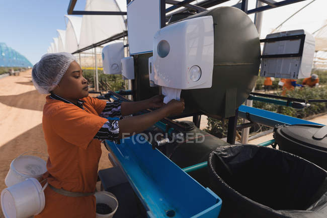 Vue latérale du travailleur travaillant sur une machine dans une ferme de bleuets — Photo de stock