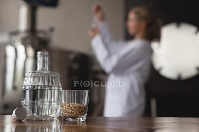 Крупним планом пляшка пивоваріння і зерно пшениці в склі з жінкою-працівницею на задньому плані — стокове фото