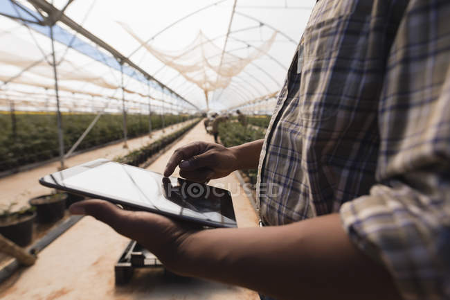 Partie médiane de l'homme utilisant une tablette numérique dans la ferme de myrtilles — Photo de stock