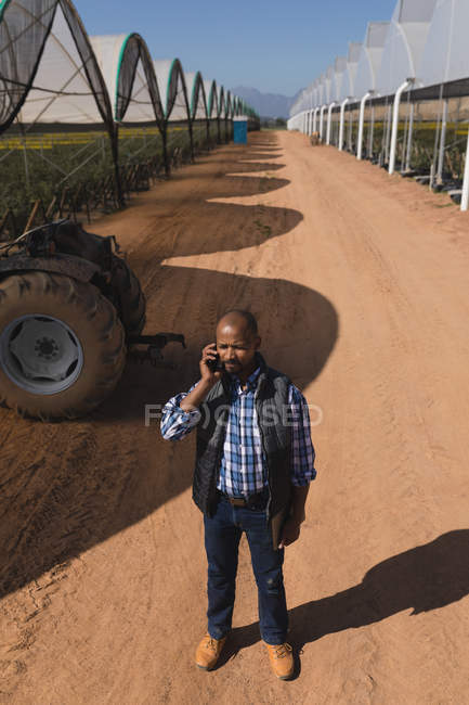 Високий кут зору людини, що розмовляє на мобільному телефоні на фермі чорниці — стокове фото