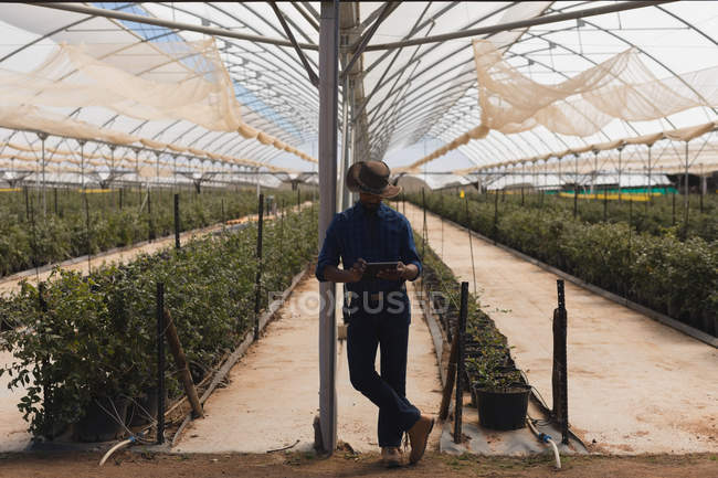Man using digital tablet in blueberry farm — Stock Photo
