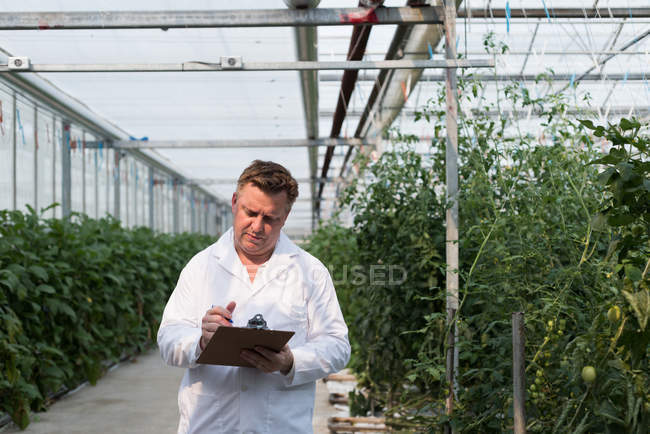 Científico masculino concentrado revisando documentación en portapapeles en invernadero - foto de stock