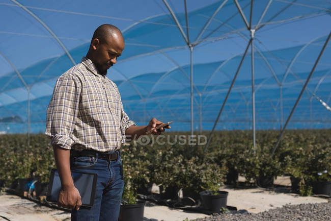 Homme utilisant un téléphone portable dans la ferme de bleuets en plein soleil — Photo de stock