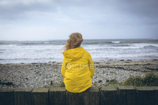 Vista trasera de la mujer pelirroja sentada en la cerca en la costa . - foto de stock