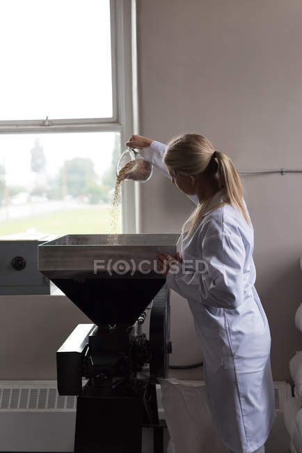 Trabajadora poniendo trigo en la máquina trituradora de trigo en la fábrica - foto de stock