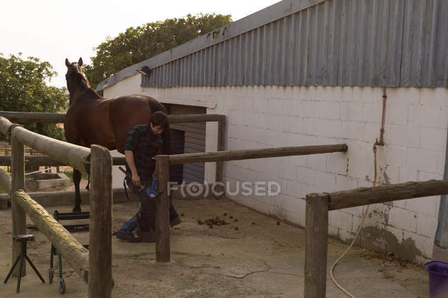 Woman putting horseshoes in horse leg at stable — Stock Photo