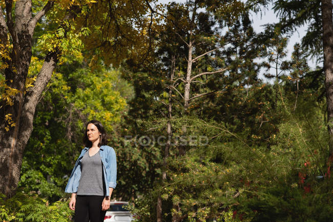 Жінка стоїть в лісі в сонячний день — стокове фото