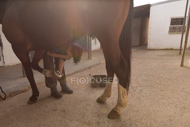 Mulher colocando ferraduras na perna de cavalo no estábulo — Fotografia de Stock