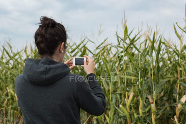 Vista trasera de la mujer haciendo clic en las fotos con cámara en el campo - foto de stock