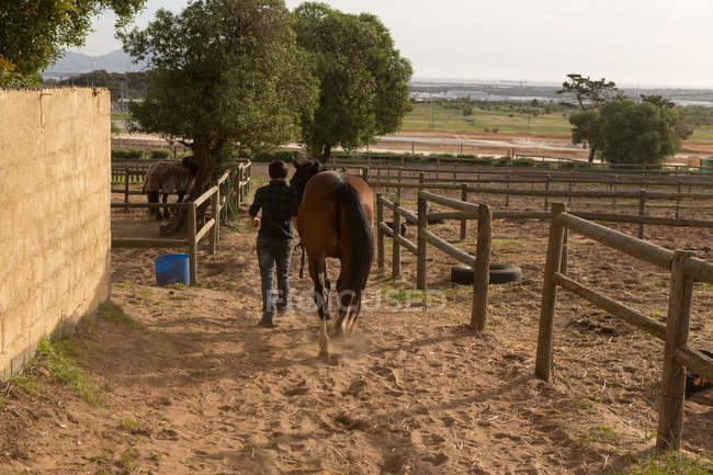 Vista trasera de la mujer caminando con el caballo en el establo - foto de stock