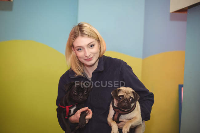 Retrato de mujer que lleva perros pug negros y marrones en el centro de cuidado de perros - foto de stock