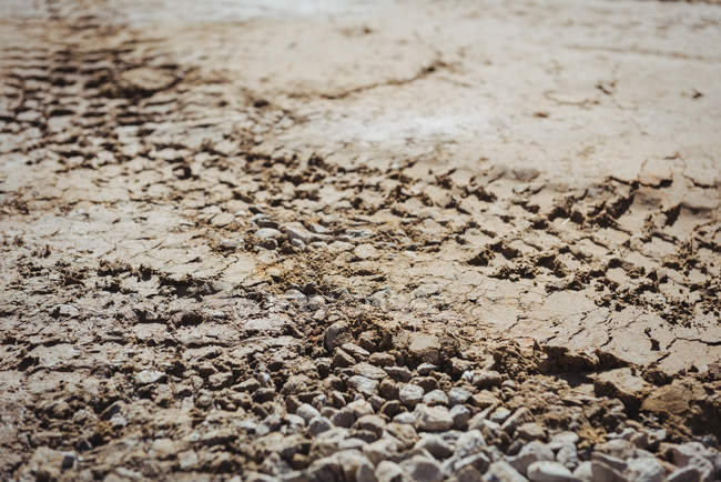 Close-up of bulldozer track on mud at construction site — Stock Photo