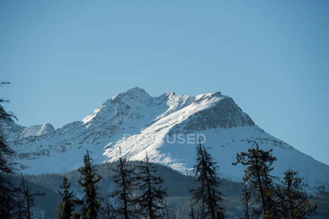 Vista tranquila de las montañas cubiertas de nieve - foto de stock