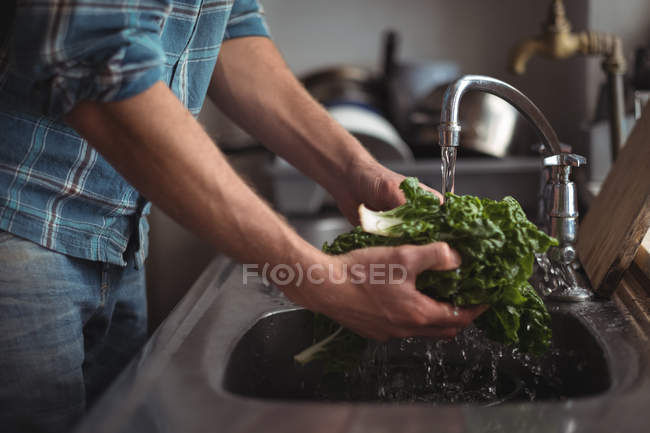 Close-up de homem lavando vegetais na cozinha em casa — Fotografia de Stock