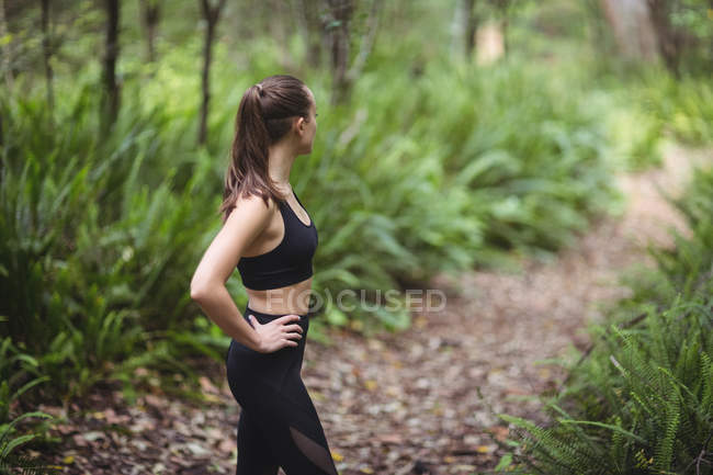Mulher realizando exercício de alongamento na floresta — Fotografia de Stock