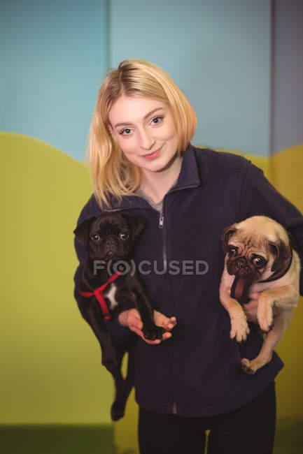 Retrato de mulher carregando cães pug pretos e marrons no centro de cuidados do cão — Fotografia de Stock