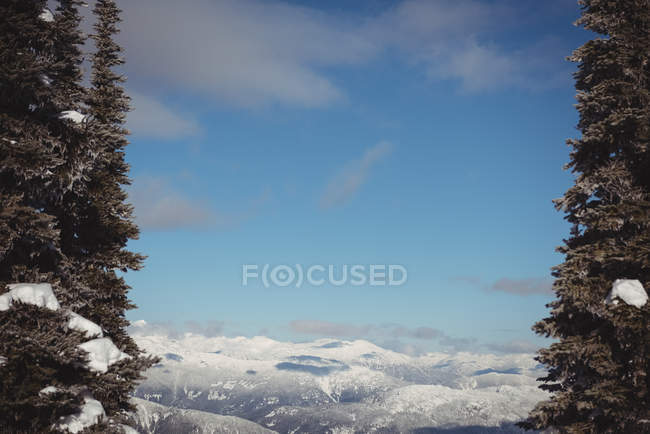 View of snow covered landscape during winter — Stock Photo