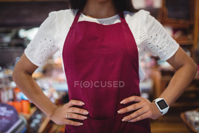 Mid-section of female staff standing with hand on hip in super market — Stock Photo