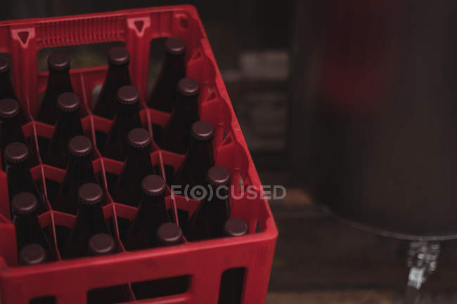 Close-up of sealed beer bottles in crate — Stock Photo