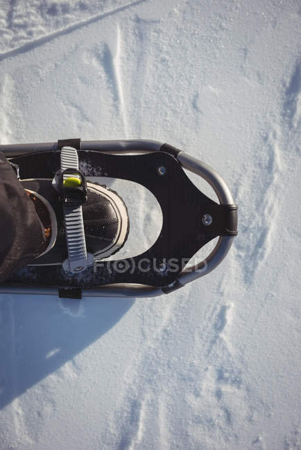 Close up of skier shoe on snow covered landscape — Stock Photo