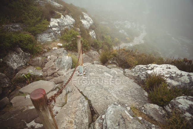 Beautiful view of rocky valley with fence going down to sea water — Stock Photo