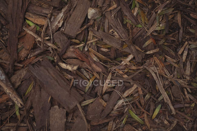 Крупный план деревянных щепок на земле — стоковое фото