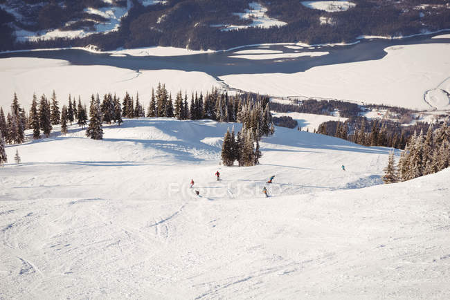 Groupe de skieurs skiant dans les Alpes enneigées en hiver — Photo de stock