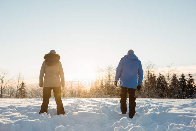 Vista trasera de la pareja de pie sobre el paisaje cubierto de nieve - foto de stock