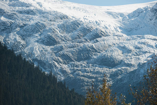 Величний вид на прекрасний ліс і засніжений гірський хребет — стокове фото