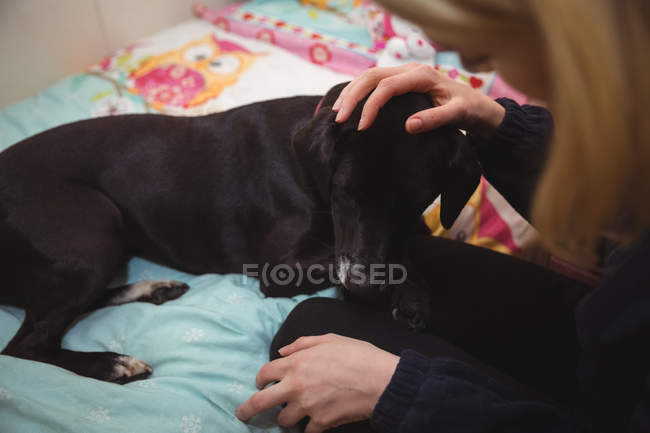 Чорний бігль собака відпочиває на жіночих колінах в центрі догляду за собаками — стокове фото