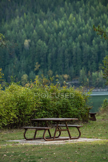 Bancs vides au bord d'un lac dans le parc forestier — Photo de stock
