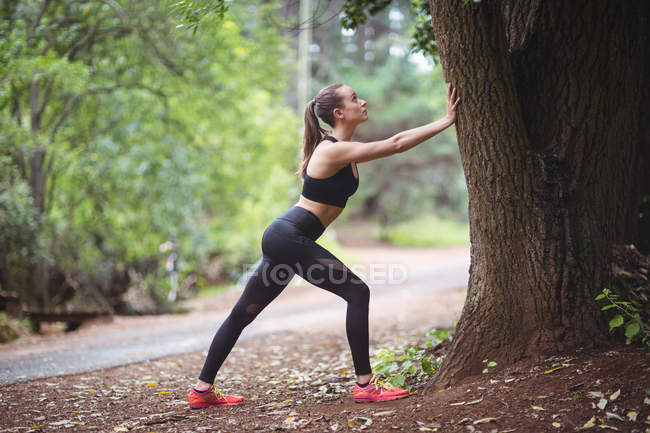 Жінка виконує розтяжку вправи в лісі — стокове фото