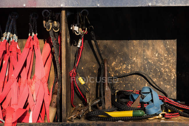 Close-up of harness and belts for sledges dog — Stock Photo