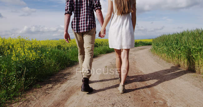Vista trasera de la pareja caminando juntos mano a mano en el campo - foto de stock