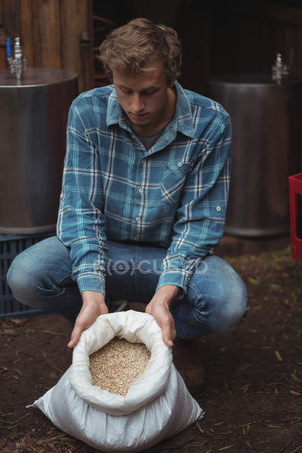 Мужчина с мешком ячменя готовит пиво дома — стоковое фото