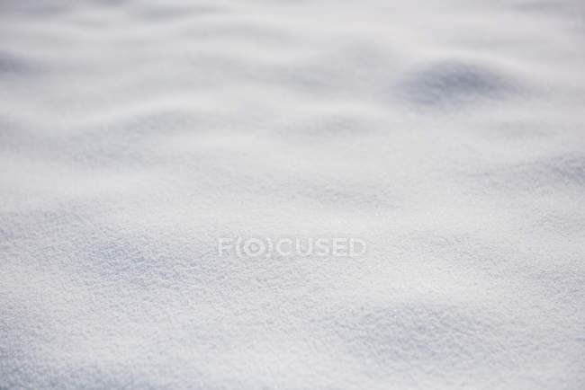 Fresh clean snow covered landscape, full frame — Stock Photo