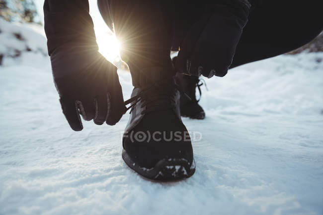 Крупный план человека, завязывающего шнурки в лесу зимой — стоковое фото