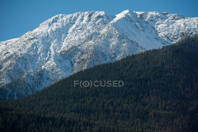 Vista majestosa de belas montanhas cobertas de neve e floresta verde — Fotografia de Stock