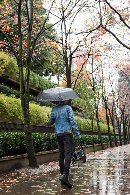 Visão traseira do homem com bolsa e guarda-chuva andando na passarela para pedestres — Fotografia de Stock