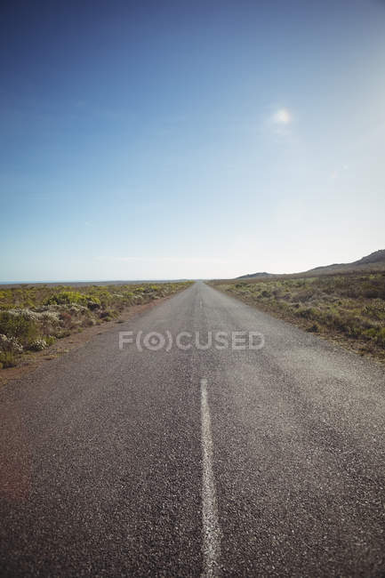 Scène rurale de route de campagne traversant un paysage verdoyant — Photo de stock