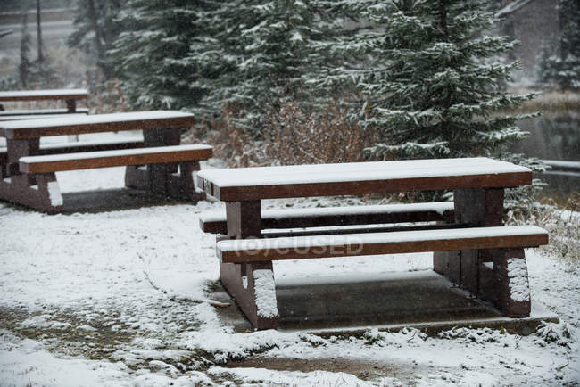 Snow-covered benches beside the lake during winter — Stock Photo