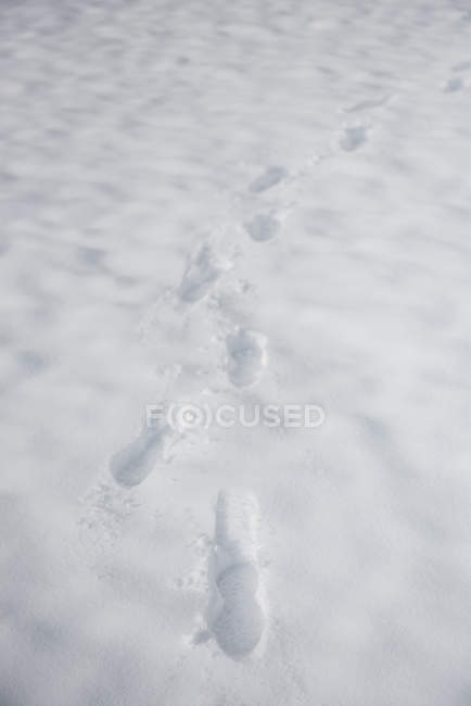 Footprints on snow covered ground, close-up — Stock Photo