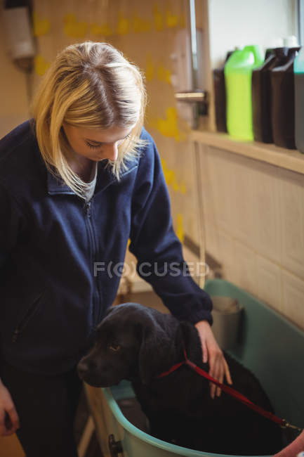 Mulher segurando cão na banheira no centro de cuidados do cão — Fotografia de Stock