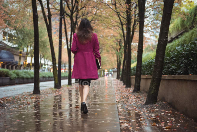 Вид сзади на деловую женщину с дневником, идущую по мокрой пешеходной дорожке с деревьями — стоковое фото