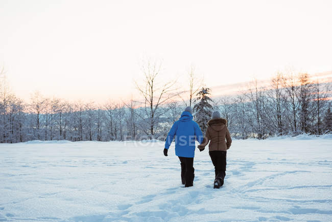 Vista trasera de la pareja caminando sobre la montaña cubierta de nieve - foto de stock