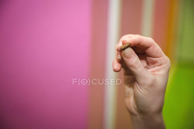 Close-up of female hand holding dog food — Stock Photo