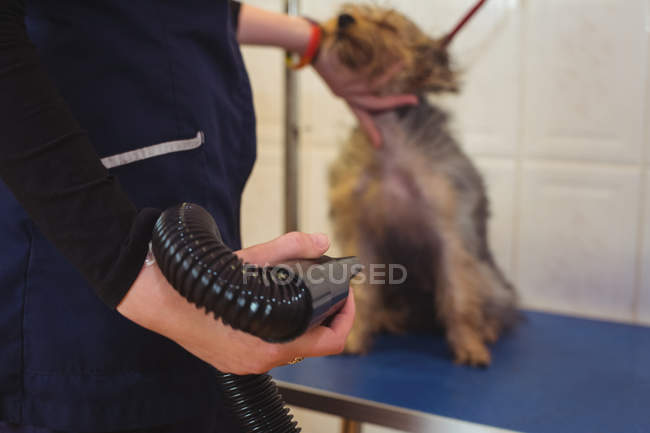 Woman using dryer on dog after wash at dog care center — Stock Photo