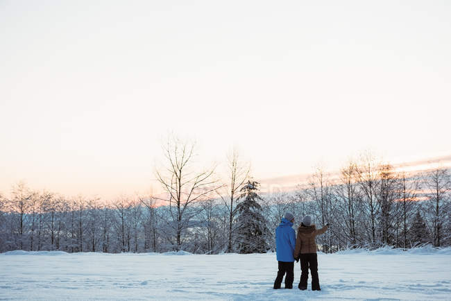Visão traseira do casal em pé na montanha coberta de neve — Fotografia de Stock
